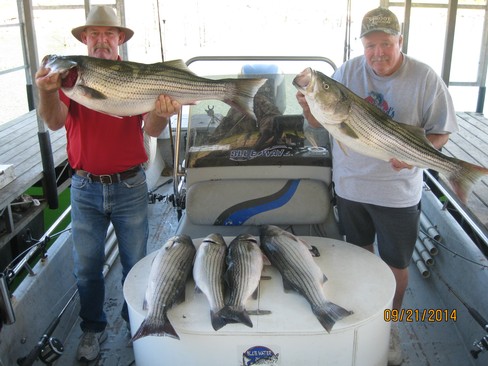 Nice Striped Bass